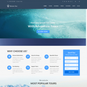 Dinooz Web Solutions