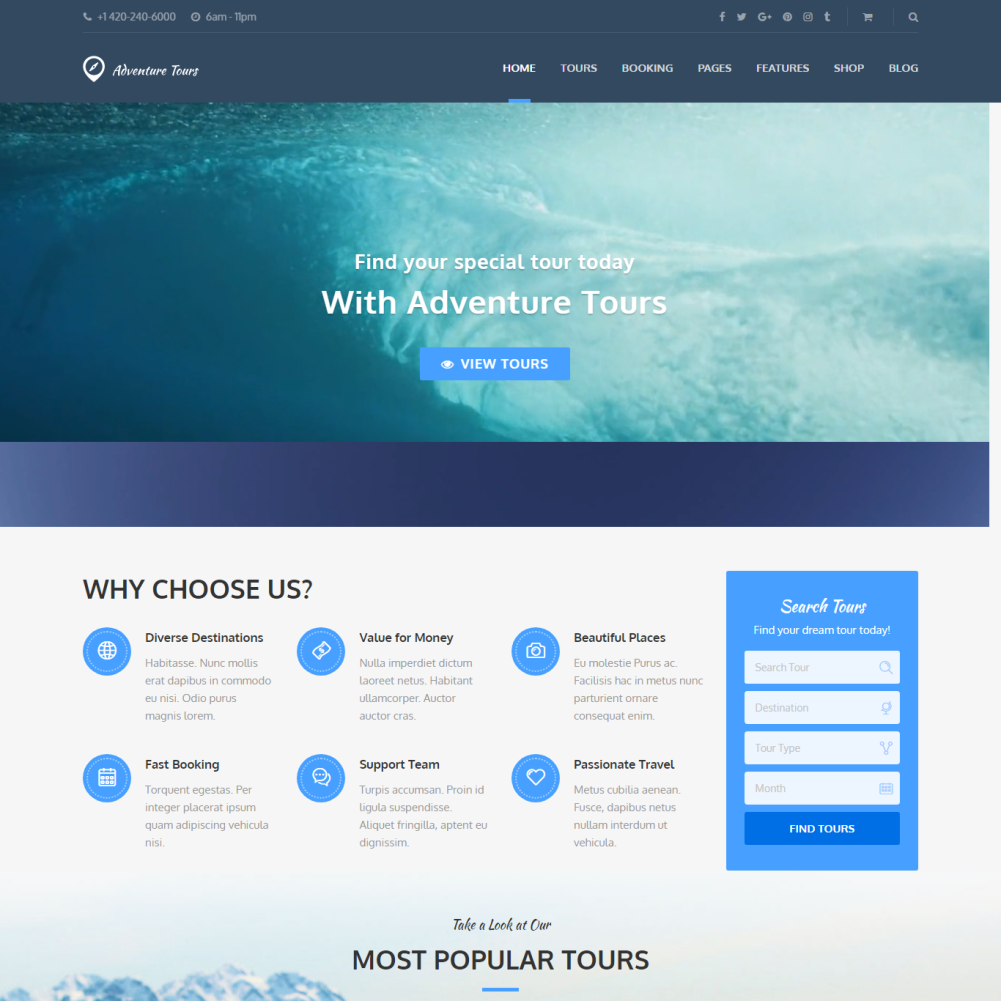 Dinooz Web Solutions